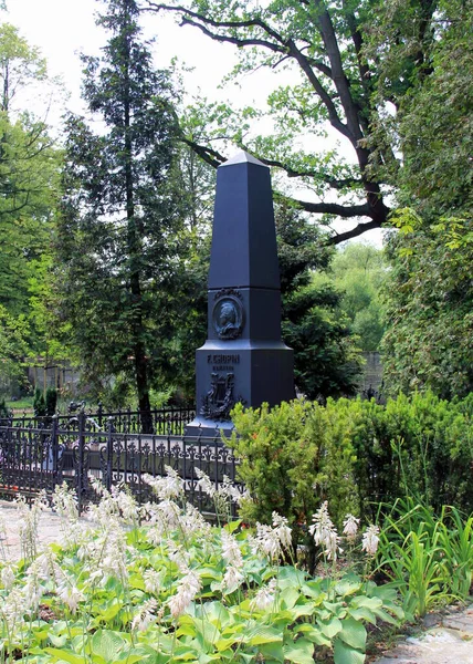 폴란드 작곡가 프레더릭 쇼팽의 출생지인 공원에 기념비 오벨리스크 1894 폴란드 — 스톡 사진