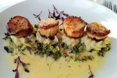 Kurutulmuş deniz tarakları patates püresi ve sebze yatağında, beyaz tabakta, restoran tarzında, Norwalk, CT, ABD - 24 Mart 2023