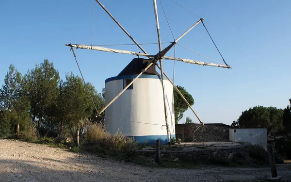 Landmark Traditional Windmill Forested Hillslope Rio Maior Portugal December 2021 — Fotografia de Stock