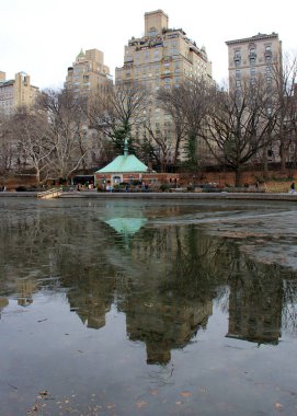 5. Cadde ufuk çizgisi, Central Park 'tan New York, New York, ABD - 23 Aralık 2023