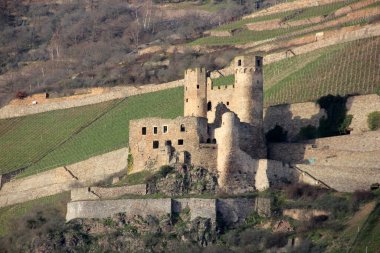 Ehrenfels Şatosu 'nun kalıntıları, Ren nehrine bakan teraslı üzüm bağları, Hesse, Almanya' da Rudesheim am Rhein kasabası yakınlarında - 10 Şubat 2023
