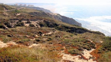 Atlantik Okyanusu, Foz do Arelho, Portekiz - 11 Ağustos 2016