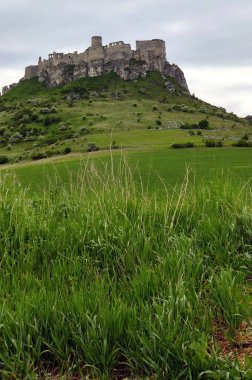 Slovakya 'nın doğusundaki yıkıntıların taçlandırdığı bir tepeye doğru uzanan yemyeşil tarlalarla çevrili ortaçağ Spis Kalesi harabeleri - 24 Mayıs 2025