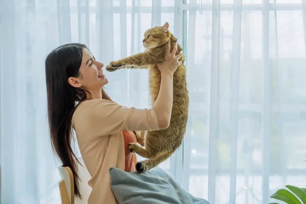 Açıcı Sahne Evcil Kedisine Değer Veren Genç Bir Asyalı Kadını — Stok fotoğraf