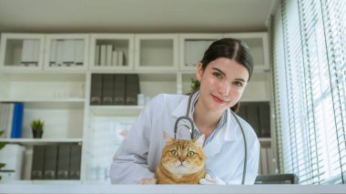 Bu büyüleyici portre, Asyalı bir kadın veterinerin klinik ortamdaki teşhis masasında şirin bir kediyi özenle incelediğini gösteriyor.