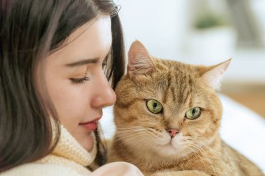 Yakından çekilen portre, şirin bir kedi ile güzel genç sahibi arasındaki samimi bağı yakalar. Sıcak yatak odalarında, sabah güneşinin altında banyo yaparlar.