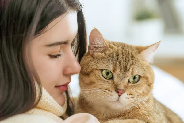 closeup portrait captures the intimate bond between a cute cat and her beautiful young owner, bathed in the gentle morning light in their cozy bedroom