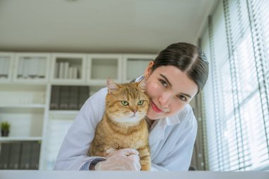 Bu büyüleyici portre, Asyalı bir kadın veterinerin klinik ortamdaki teşhis masasında şirin bir kediyi özenle incelediğini gösteriyor.