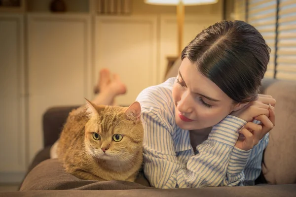 stock image a heartwarming portrait of an adorable cat alongside its young asian owner, seated comfortably on a sofa in a cozy, warmly lit living room