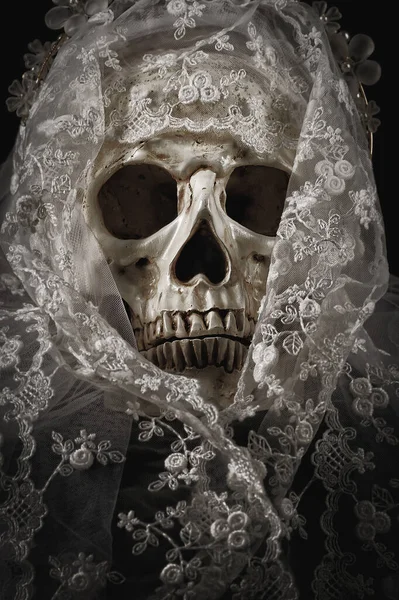 ハンティング写真は ハロウィーンのコンセプトのための暗い背景に設定されたベールで飾られた花嫁の頭蓋骨を撮影します — ストック写真