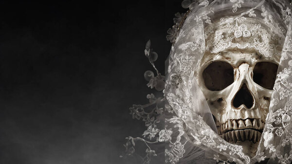 A haunting photo captures the skull of a bride adorned with a veil, set against dark background for Halloween concept