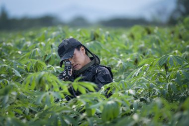 Yaprakların arasına gizlenmiş Taylandlı bir kadın asker sıkı bir saha eğitimi sırasında hedefine odaklanıyor.