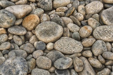 Nehir yatağı boyunca toplanmış, doğal dokuları ve jeolojik çeşitliliği gösteren gri ve kahverengi tonlardaki yumuşak çakıl taşlarının yakın çekimi