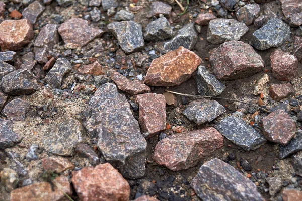 雨后用水洗的花岗岩卵石 — 图库照片