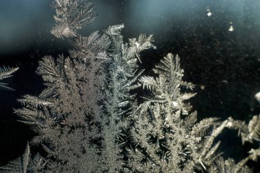 Photo of frost pattern on the glass. Selective focus