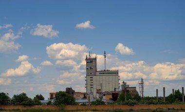 Bulutlu bitki ve gökyüzü fotoğrafı. Ukrayna