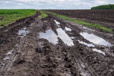 Mud and puddles on a dirt road in countryside clipart