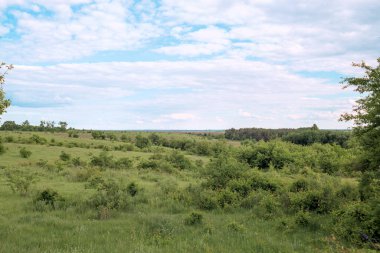 Kırsal yeşil bahar ya da yaz mevsimi güzel gökyüzü olan çiftlik manzarası.