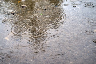 Yüzeyde yağmur damlaları. Yağmur birikintisinde kabarcıklar