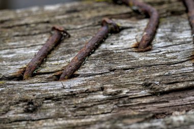 Bir tahta parçasına paslı çiviler yakın plan, bir çivi açıda bükülür.