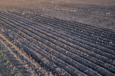 Nisan ayında Ukrayna 'da sürülen tarlanın fotoğrafı