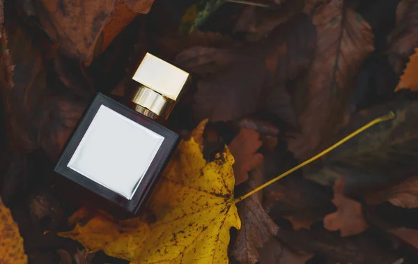 Perfume bottle on the background of autumn leaves