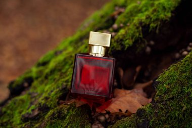 perfume bottle on moss background