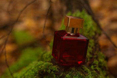 Female perfume on a yellow background