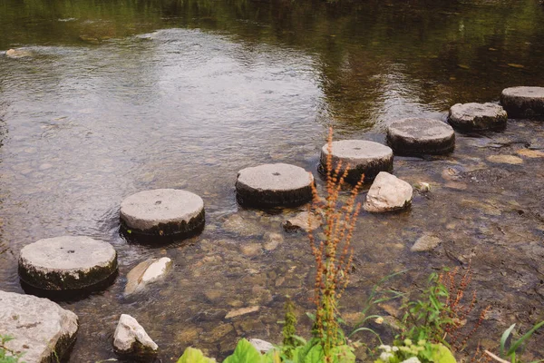 Stone Path River Stok Gambar Bebas Royalti