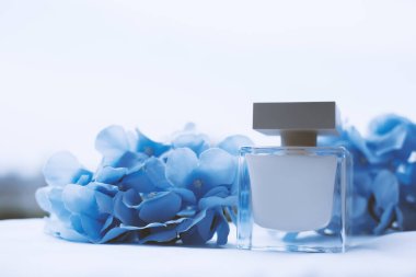 Beyaz parfüm ve mavi çiçekler