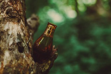 Doğanın arka planında parfüm