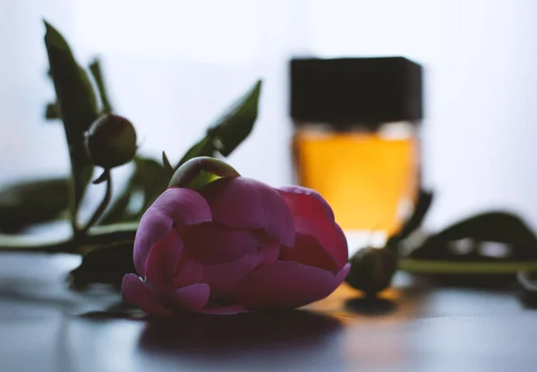 Wiosenny Różowy Kwiat Perfumy — Zdjęcie stockowe