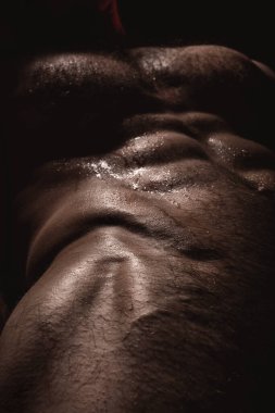 Yakışıklı, kaslı erkek vücudu.