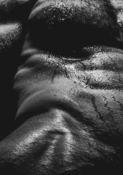 Seksi Atletik Erkek Vücudunun Silueti — Stok fotoğraf