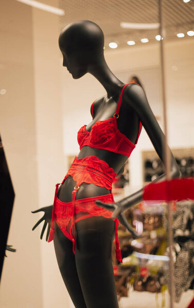 Stylish mannequin with women's red underwear
