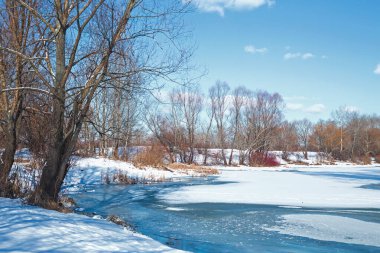 Kış ormanda çalışan Nehri