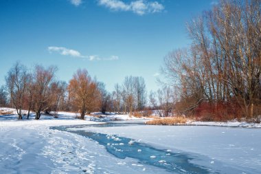 Kış ormanda çalışan Nehri