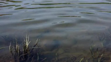 Nehirdeki suyun dokusu