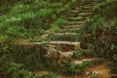 taş basamaklar çim ile büyümüş