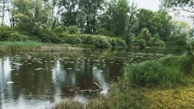 Yağmurlu gün Nehri üzerinde