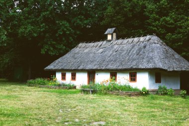 Sazlı çatılı eski Ukrayna evi