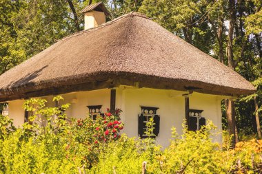 Sazlı çatılı eski Ukrayna evi