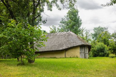 Sazlı çatılı eski Ukrayna evi