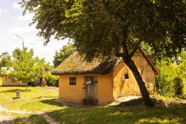 Sazlı çatılı eski Ukrayna evi