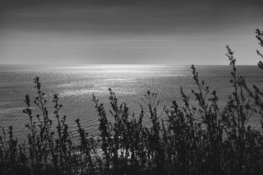 Siyah ve beyaz deniz manzara