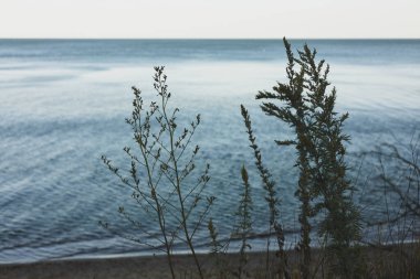 Güzel, sakin bir denizin manzarası
