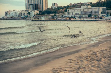 Güzel bir gün batımında akşam deniz manzarası