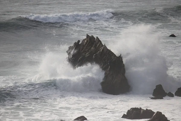 Хвилі Розбиваються Скелю Птахів Поблизу Міста Пойнт Реєс Каліфорнія — стокове фото