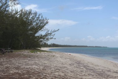 Kuzey Caicos Adası, Turks ve Caicos Adaları 'ndaki Tipik Sahil Çizgisi