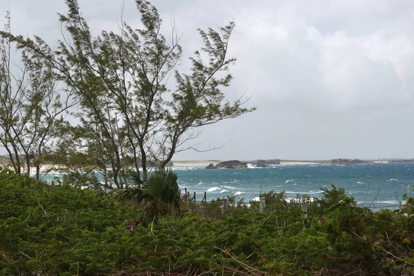 ミドル カイコス島 トルコ カイコス諸島の典型的な海岸線 — ストック写真